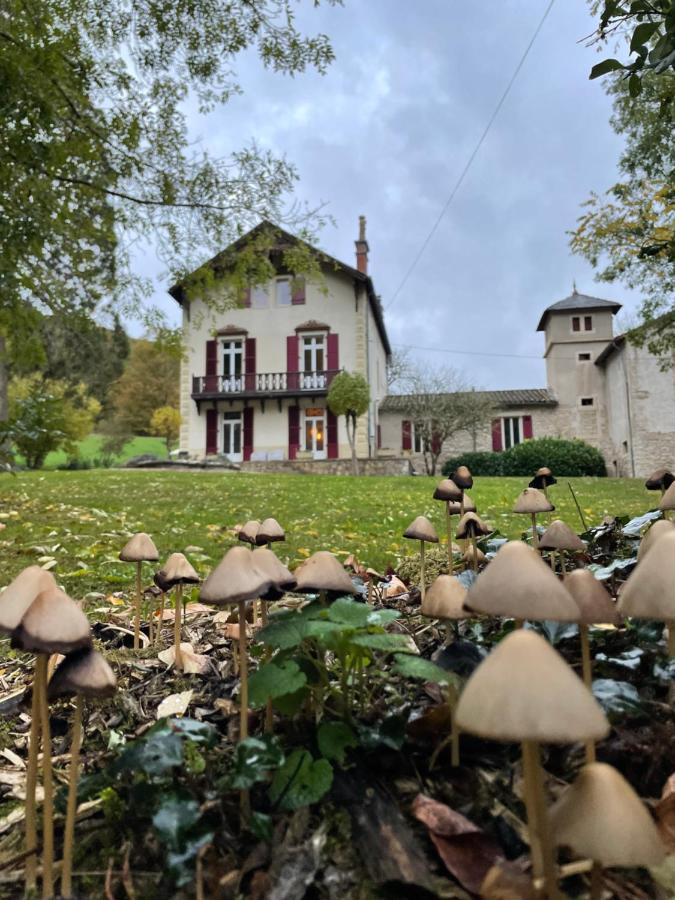 Bed and Breakfast Domaine La Rose Caylus Exteriér fotografie